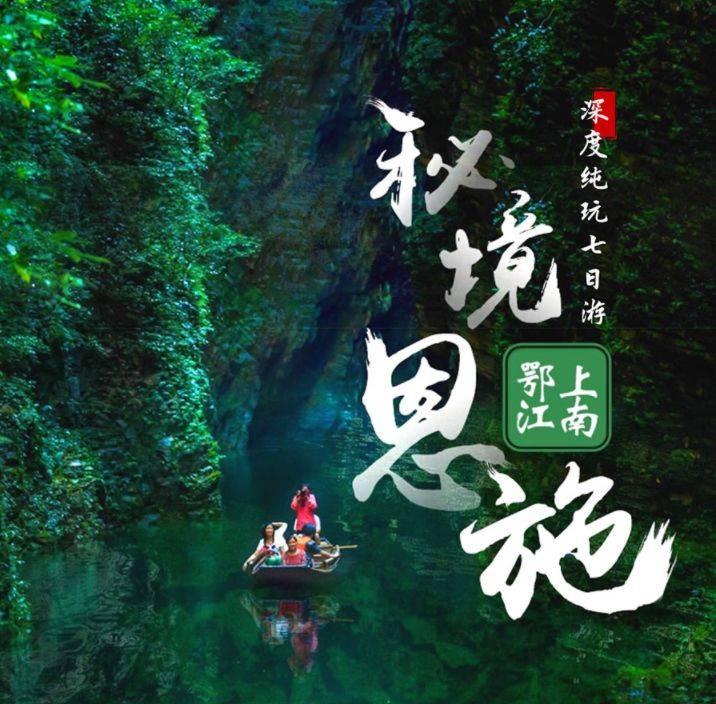 解救金刚鹦鹉